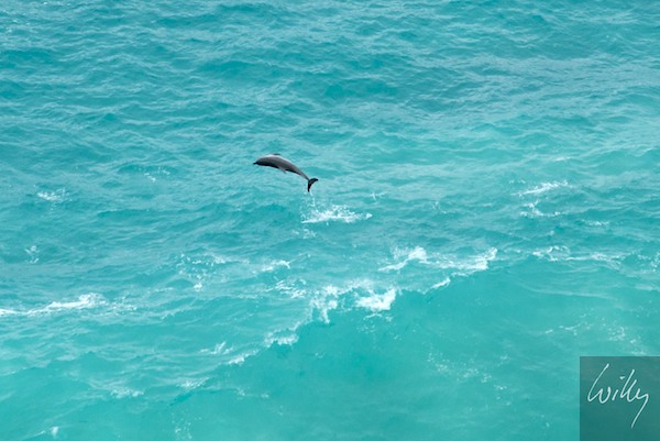 AustraliaPerth 10  009